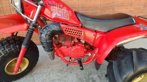 1982 Honda Atc 250R - Image 4