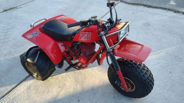 1982 Honda Atc 250R - Image 5